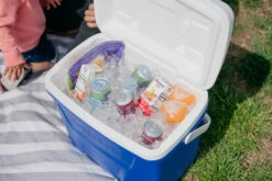 IGLOO Laguna 28QT Cool Box Red 20 IGLOO Laguna 28QT Cool Box Red -Outdoor Camping Store kb309529a331bee3c9613a50999a7df51