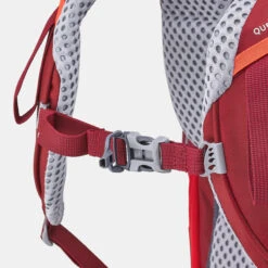 Quechua Children's Hiking/Trekking 40+10L Backpack MH500 37 Quechua Children's Hiking/Trekking 40+10L Backpack MH500 -Outdoor Camping Store kcea862c59559a34a2e6f43ad6e6f5309